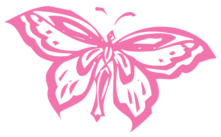 Pink Butterfly Outline