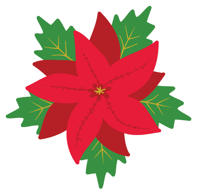 Christmas Poinsettia Flower
