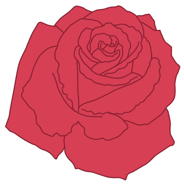 Large Basic Rose Flower