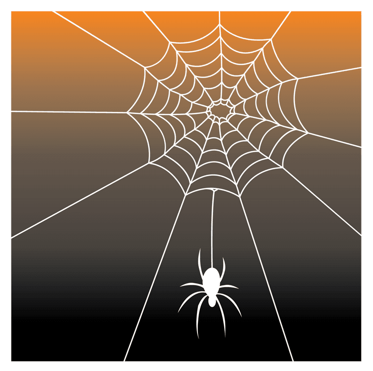Spider Web Background
